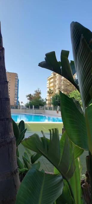 Apartmán Elegante Alojamiento Con Piscina A 200 M Del Mar. Benalmádena Exteriér fotografie